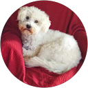 Rita Thomas profile picture